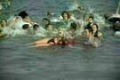 Piranha3D 013