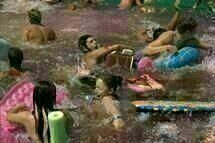 Piranha3D 014