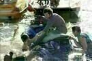 Piranha3D 015