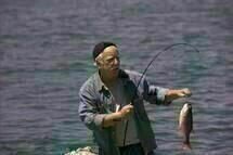 Piranha3D 018