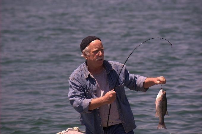 Piranha3D 018