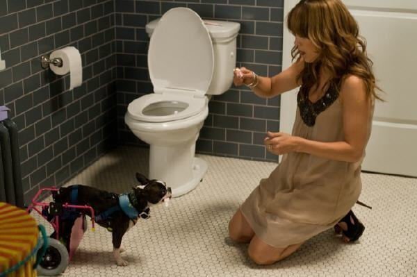 Plan B für die Liebe Plan B für die Liebe