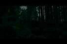 Planet der Affen 3: Survival - Trailer