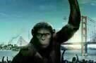 Planet der Affen Prevolution poster