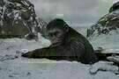 Planet der Affen Survival 1