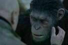 Planet der Affen Survival 3