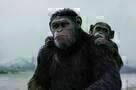Planet der Affen Survival 9-001
