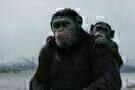 Planet der Affen Survival 9