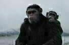 Planet der Affen Survival 9