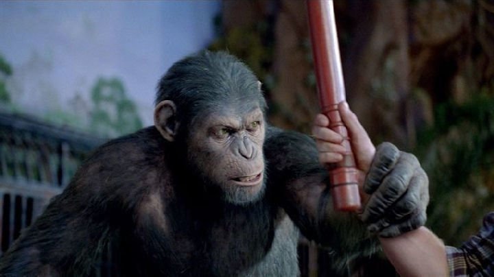 Planet of the Apes 02