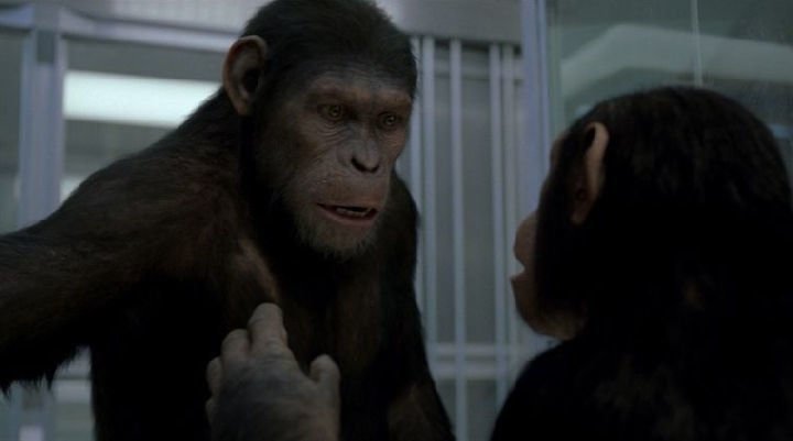 Planet of the Apes 04