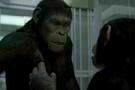 Planet of the Apes 04