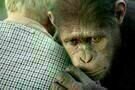 Planet of the Apes 05