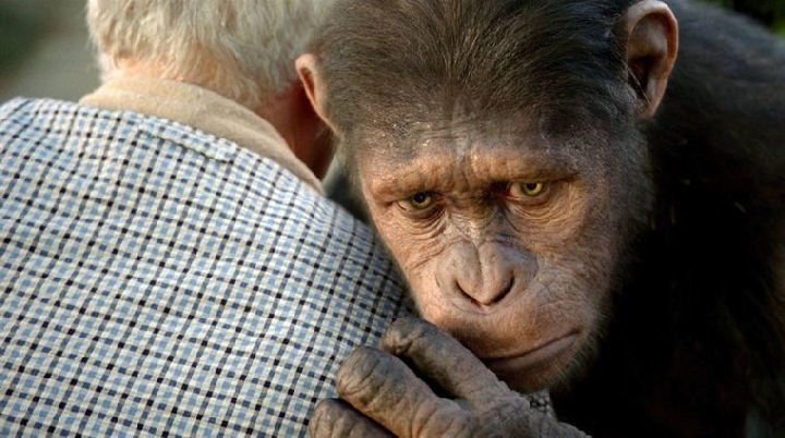 Planet of the Apes 05