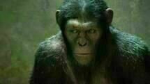 Planet of the Apes 08 Planet of the Apes 08