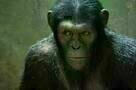 Planet of the Apes 08