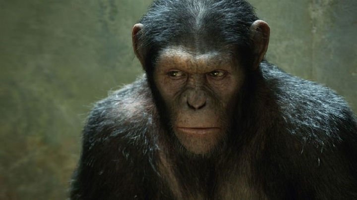 Planet of the Apes 08