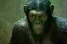 Planet of the Apes 08