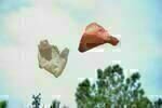 Plastic Bag