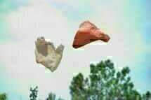 Plastic Bag 06 Plastic Bag 06