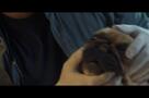 Plötzlich aufs Land - Eine Tierärztin im Burgund - Trailer