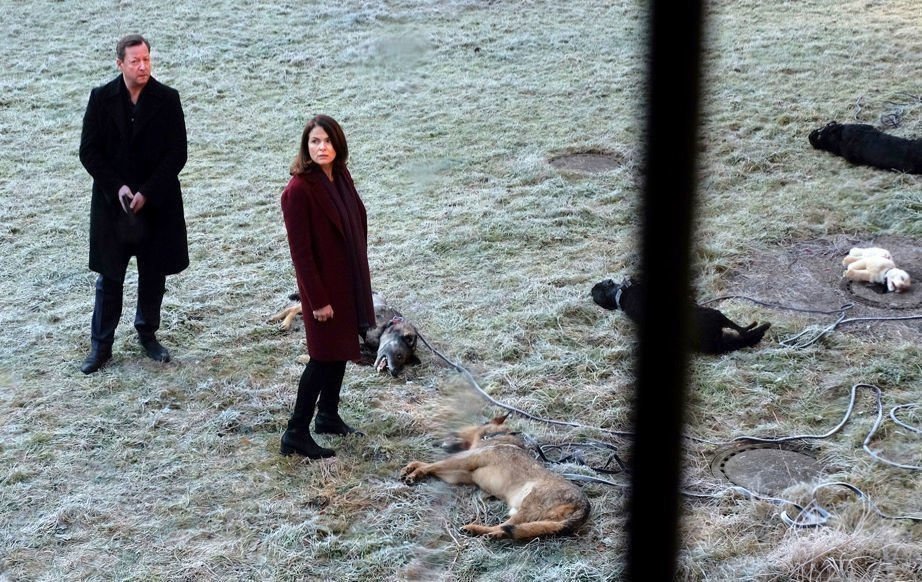 Polizeiruf 110 Wo  lfe