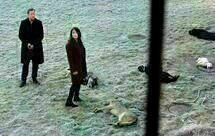 Polizeiruf 110 Wo  lfe