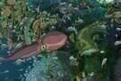 Ponyo