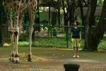 Postcards from the Zoo 02