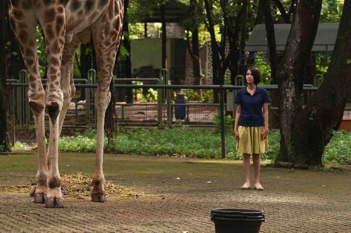Postcards from the Zoo 02