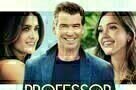 Professor Love - Plakat