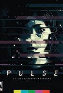 Pulse