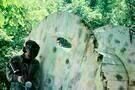 Putty Hill 01
