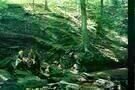Putty Hill 02