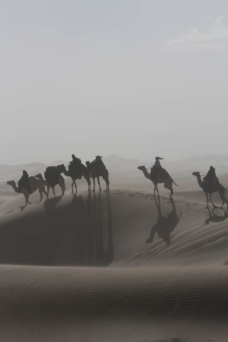 Queen of the Desert 01