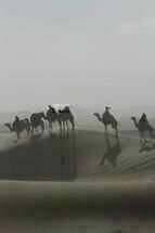 Queen of the Desert 01