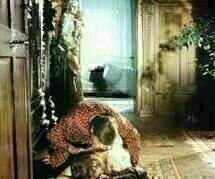 Rainer Werner Fassbinder: Martha Rainer Werner Fassbinder: Martha