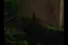 Ray & Liz - Trailer