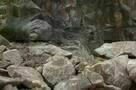 Reconversion - Trailer