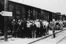 reichseinsatz-5 reichseinsatz-5