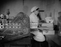 reichseinsatz-8 reichseinsatz-8