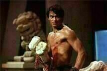 Revenge of the Warrior Revenge of the Warrior