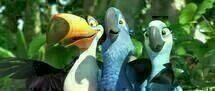 Rio 10 Rio 10