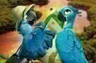 Rio 2