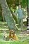 Ruby Sparks 03