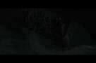 Rust & Bone - Trailer