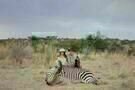 Safari 01