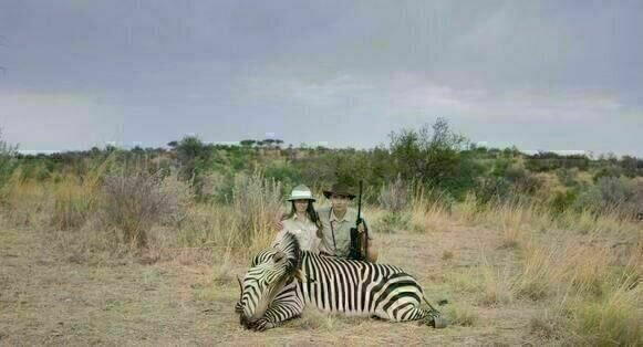Safari 01