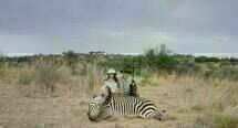 Safari 01