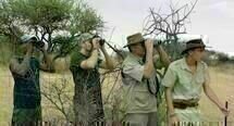 Safari 04